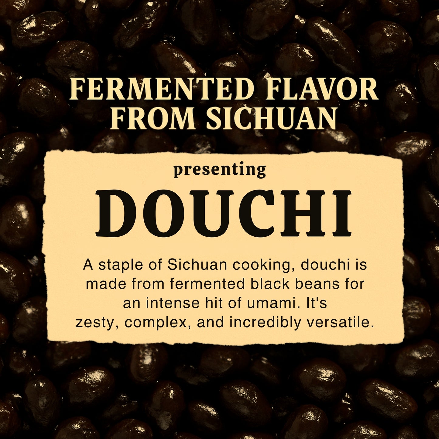 Sichuan’s Dochi | Black Bean Dipping Sauce | Dip of Sichuan, China | Ready-to-Eat